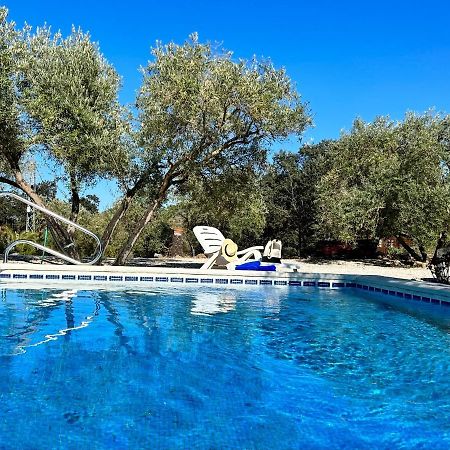 La Mejorana Refugio Andaluz Con Piscina Entre Olivos Villanueva de Tapia Extérieur photo