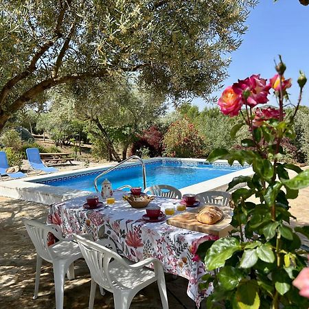 Villa La Mejorana Refugio Andaluz Con Piscina Entre Olivos à Villanueva de Tapia Extérieur photo