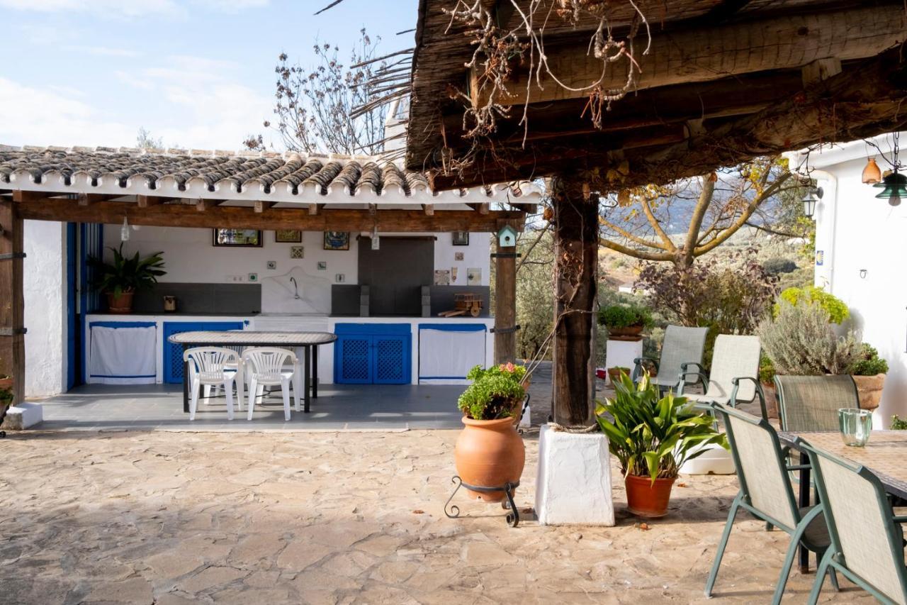 La Mejorana Refugio Andaluz Con Piscina Entre Olivos Villanueva de Tapia Extérieur photo