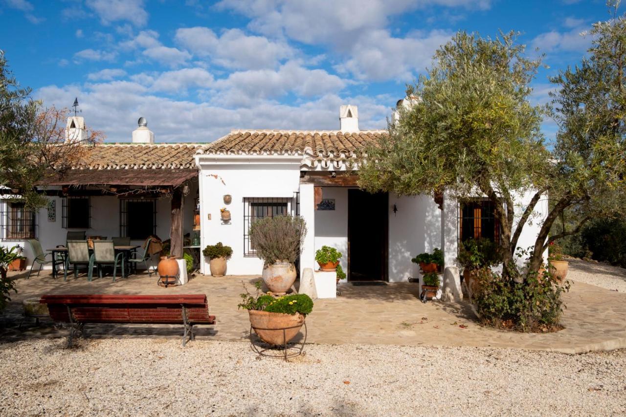 La Mejorana Refugio Andaluz Con Piscina Entre Olivos Villanueva de Tapia Extérieur photo