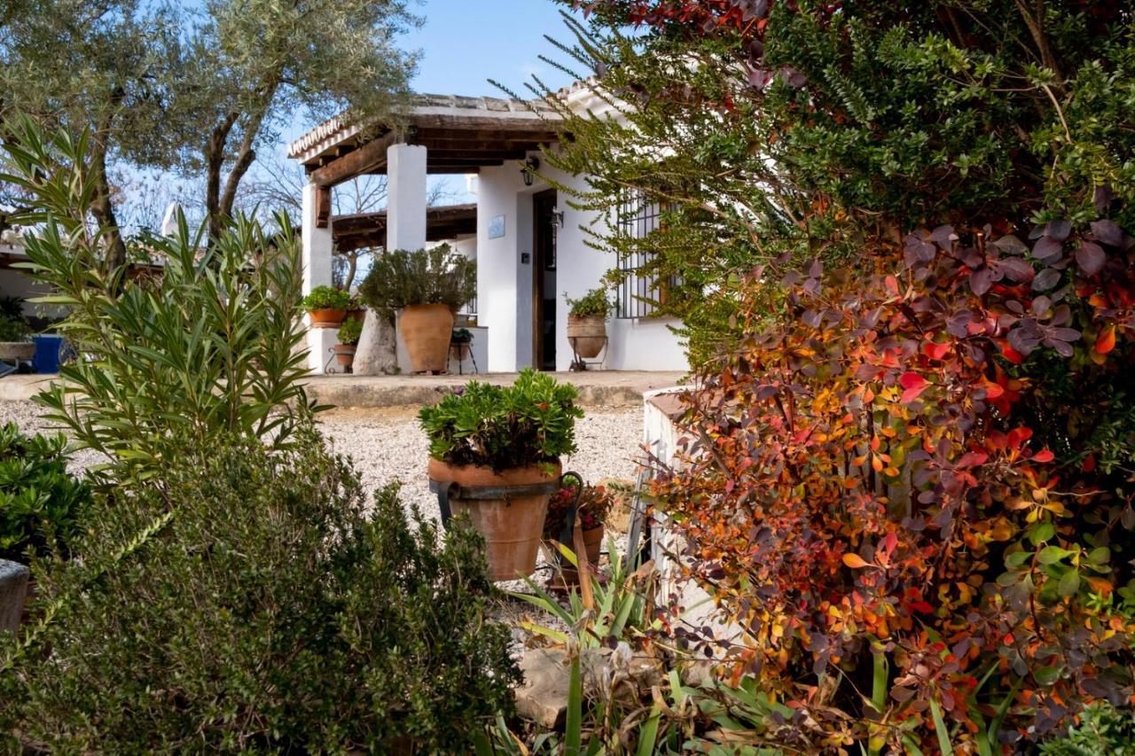 La Mejorana Refugio Andaluz Con Piscina Entre Olivos Villanueva de Tapia Extérieur photo