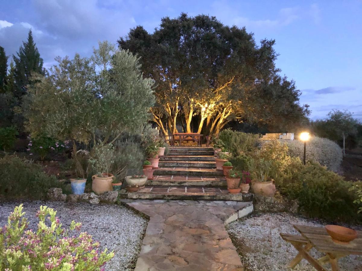 La Mejorana Refugio Andaluz Con Piscina Entre Olivos Villanueva de Tapia Extérieur photo