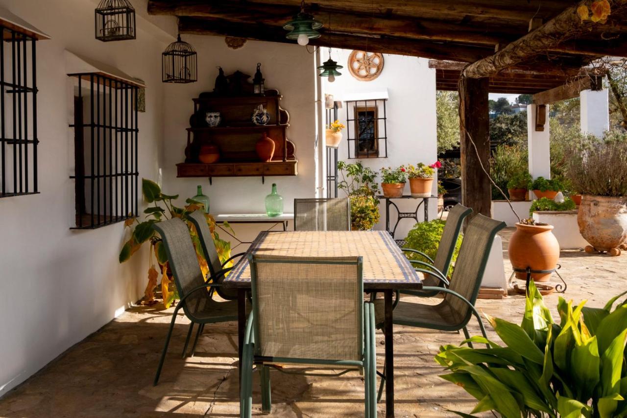 La Mejorana Refugio Andaluz Con Piscina Entre Olivos Villanueva de Tapia Extérieur photo