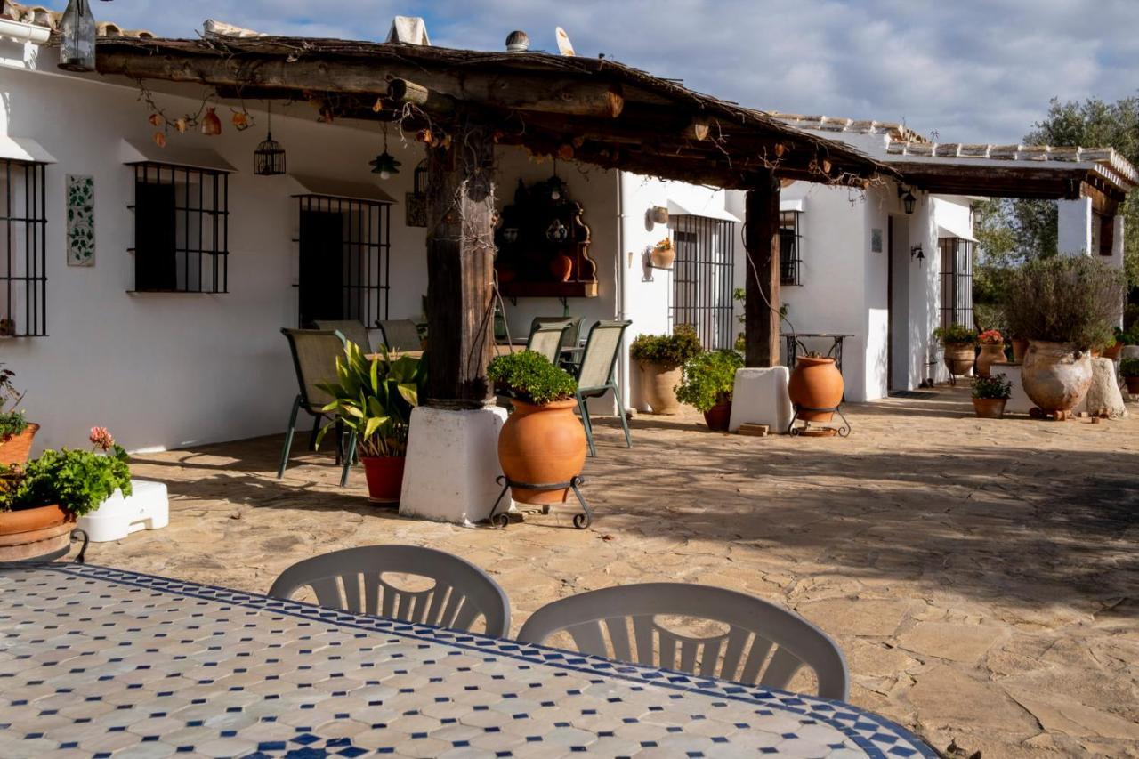 Villa La Mejorana Refugio Andaluz Con Piscina Entre Olivos à Villanueva de Tapia Extérieur photo