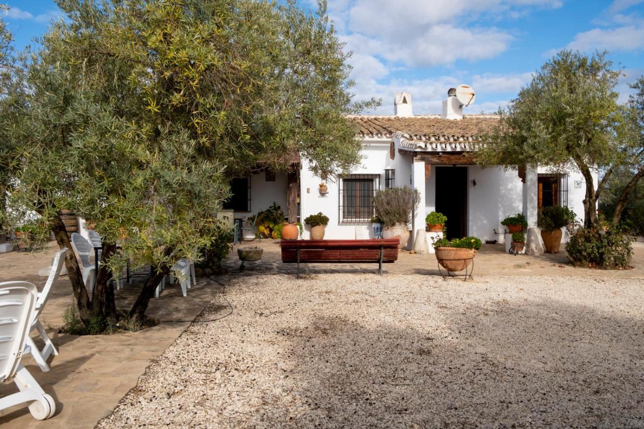 La Mejorana Refugio Andaluz Con Piscina Entre Olivos Villanueva de Tapia Extérieur photo