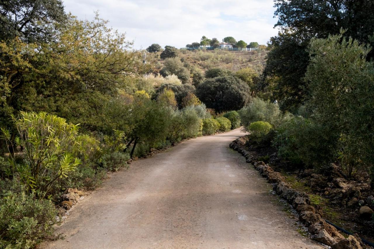 La Mejorana Refugio Andaluz Con Piscina Entre Olivos Villanueva de Tapia Extérieur photo
