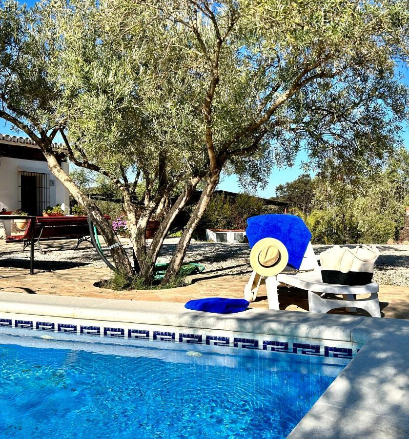 La Mejorana Refugio Andaluz Con Piscina Entre Olivos Villanueva de Tapia Extérieur photo