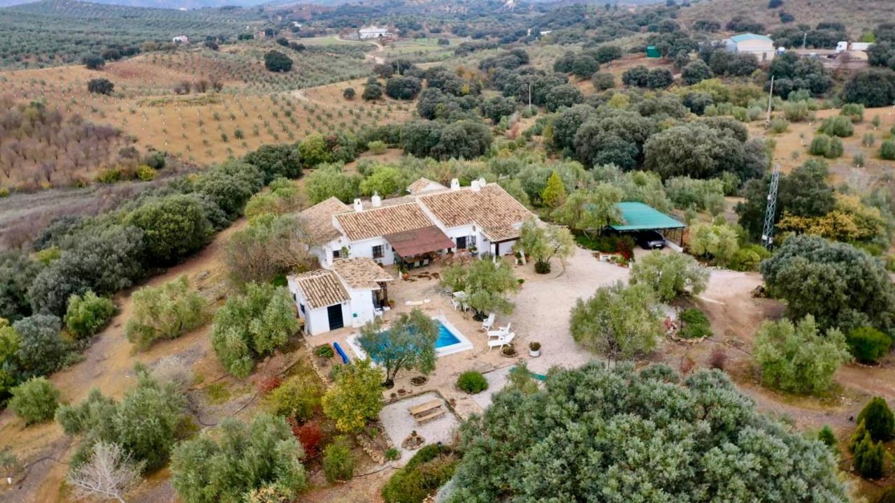 Villa La Mejorana Refugio Andaluz Con Piscina Entre Olivos à Villanueva de Tapia Extérieur photo
