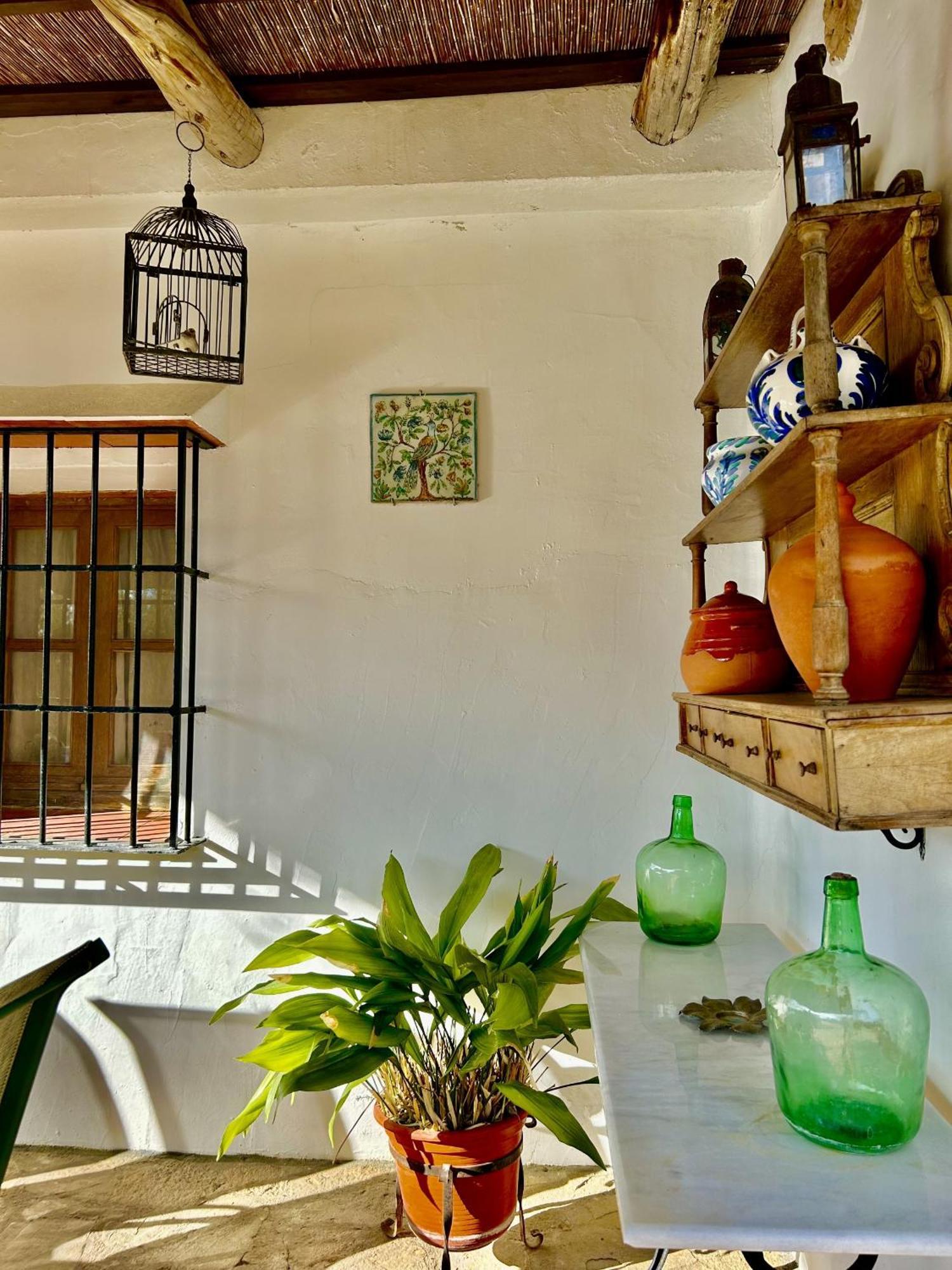 La Mejorana Refugio Andaluz Con Piscina Entre Olivos Villanueva de Tapia Extérieur photo