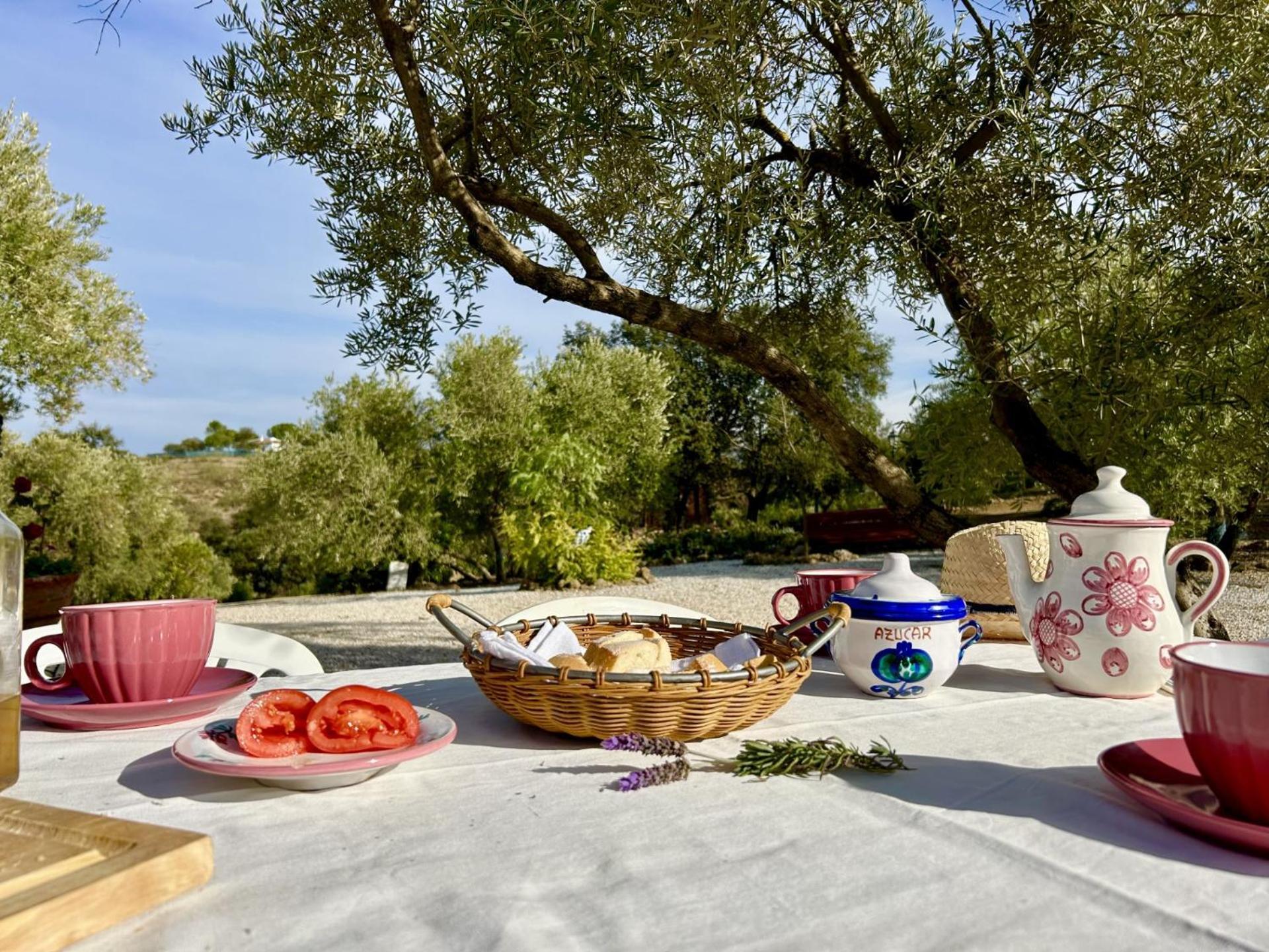Villa La Mejorana Refugio Andaluz Con Piscina Entre Olivos à Villanueva de Tapia Extérieur photo