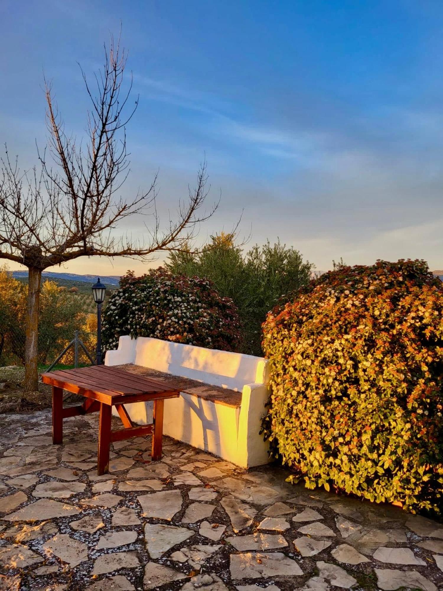 La Mejorana Refugio Andaluz Con Piscina Entre Olivos Villanueva de Tapia Extérieur photo