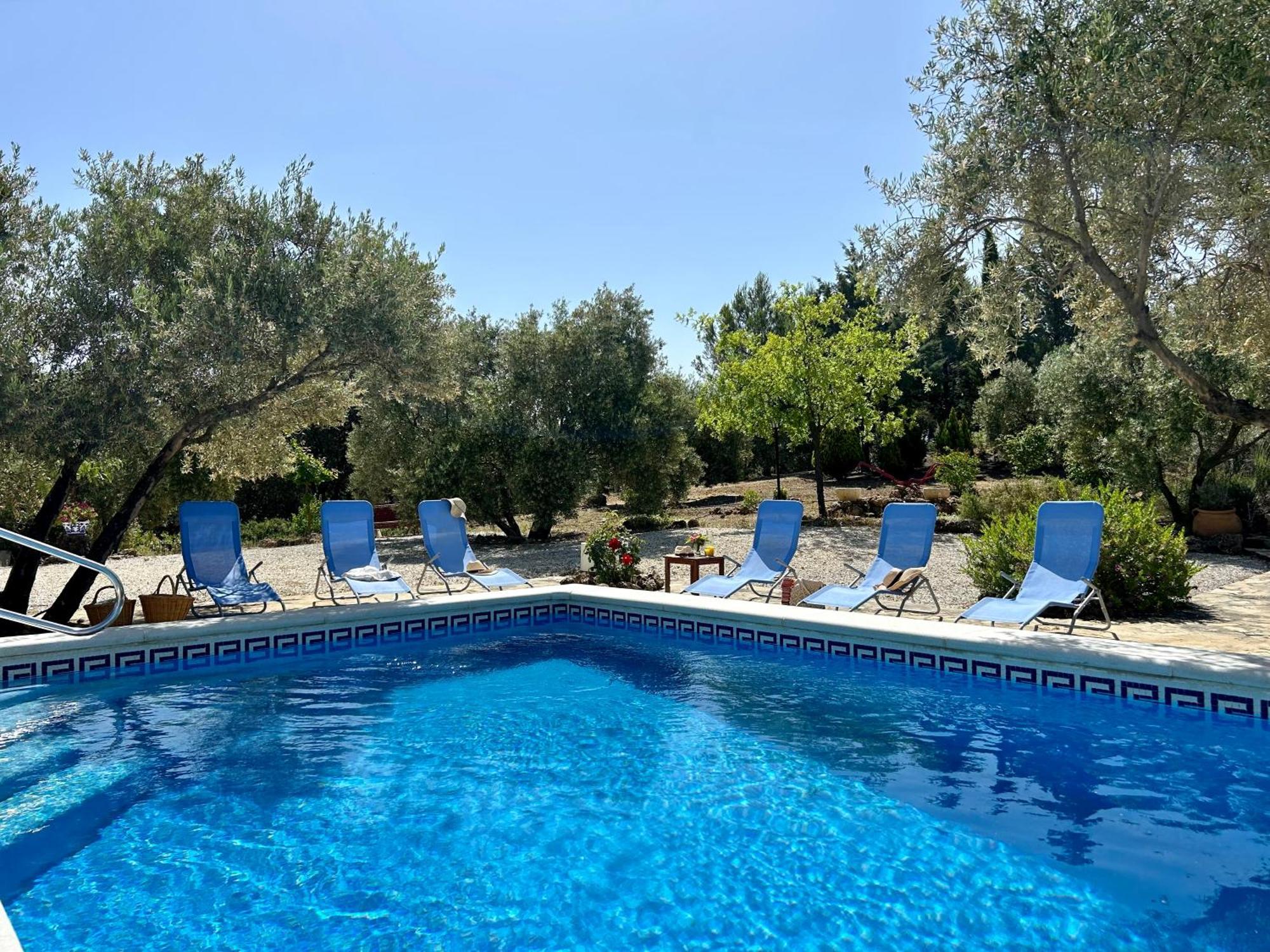 La Mejorana Refugio Andaluz Con Piscina Entre Olivos Villanueva de Tapia Extérieur photo