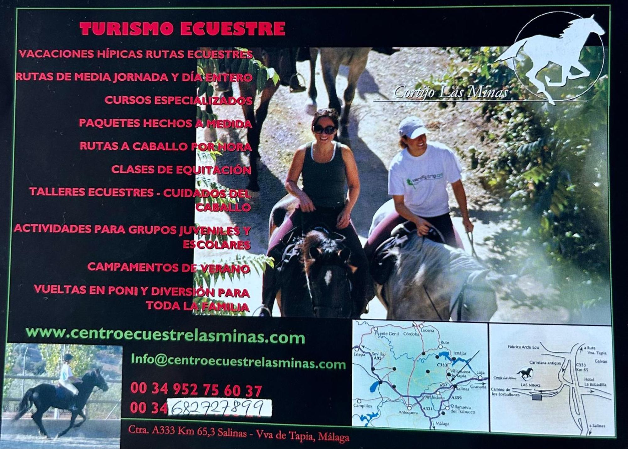 La Mejorana Refugio Andaluz Con Piscina Entre Olivos Villanueva de Tapia Extérieur photo