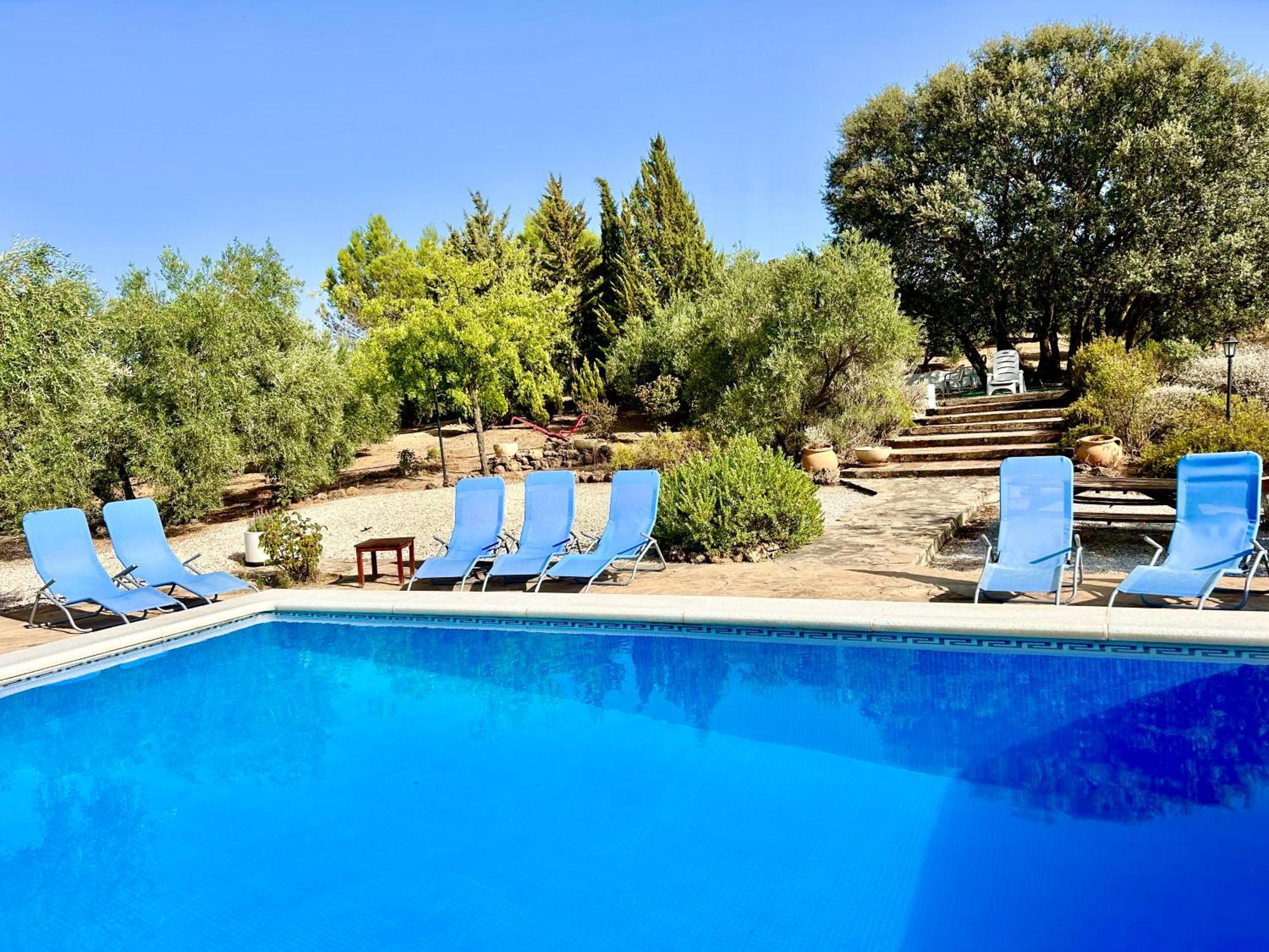 La Mejorana Refugio Andaluz Con Piscina Entre Olivos Villanueva de Tapia Extérieur photo